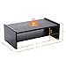 TAVR Computer Monitor Stand Riser Desk Top Storage Organizer for TV Laptop Printer Stand 16.7 x 9.4 inch 2 Tiers Shelves Black CM1002