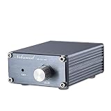 Nobsound 100W Subwoofer Digital Power Amplifier Audio Mini Amp (Subwoofer, Gray)