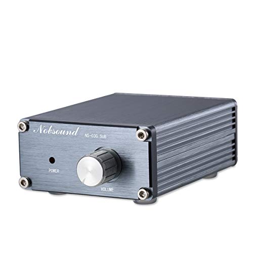Nobsound 100W Subwoofer Digital Power Amplifier Audio Mini Amp (Subwoofer, Gray)