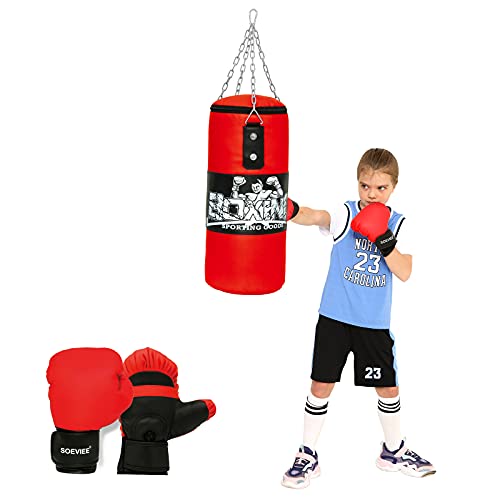 Kids Punching Bag Set Gloves Included Chain and Hook Included, Training in Martial Arts / Boxing