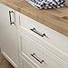 Franklin Brass Francisco (10-Pack) Cabinet Handles 5-1/16