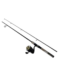 Daiwa dsk20 b f602ml d shock Reel & Rod Combo 6 'Medium Light Acción, color negro y dorado
