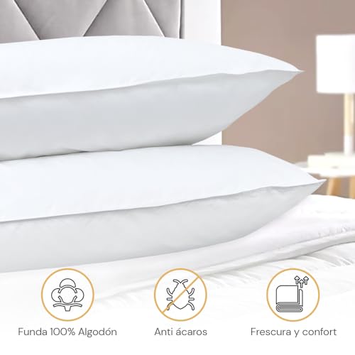 2 Almohadas Hoteleras King - Pluma de Ganso (Down) Alternativo Hoteles 5 Estrellas - Hipoalergenico 100% Algodón King Size 50x90cm Soporte Suave