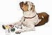 Dog Stocking + Christmas Dog Collar Bundle 4 Interactive Dog Toys Large Holiday Collar Perfect Pet Christmas Gifts