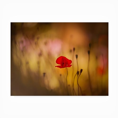 Trademark Fine Art Outdoor Canvas Art - keren or 'When I Long For You' Wall Art…