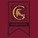 Harry Potter House Crest Flag Juniors 3/4 Sleeve Raglan T-shirts
