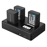 NP-FW50 A6500 A7RII Sony Camera Battery Charger Set, OXKERS Revival Sony Batteries A6000, A6300, A7, A7II, A7SII, A7S, A7S2, A7R, A7R2, A55, A5100, RX10 (Unique 2+1 Charging Set, Type C & Micro USB)