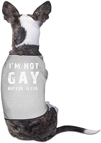 I'm Not Gay But $20 Is $20 T Plain WarmDogs T Shirt Dress Plain Sleeveless New Fashion Cute Best Holiday Gift L Gray