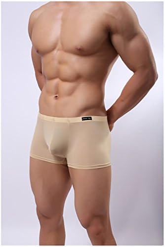 Casualfashion Sexy Male Icy Cool Boxer Briefs 5 Colors Comfortable Thin Ice Silk Underwear for Men (XXL, Skin Color)