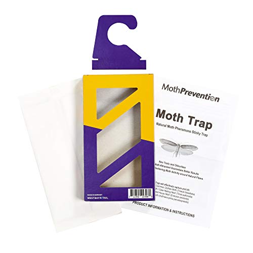 CLOTHES MOTH TRAPS 3Pack from MothPrevention Best CatchRate for