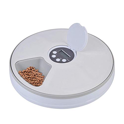 Buy Auoker Timed Cat Feeder Auoker Intelligent Automatic Cat