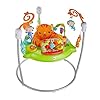 Fisher-Price-CHM91-Roaring-Rainforest-Jumperoo-New-Born-Baby-Activity-Centre-with-Music-and-Lights Fisher-Price Roarin' Rainforest Jumperoo - Infant Activity Center with Music, Lights & Sounds - 360° Play - Colourful…