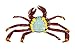 Safari Ltd. Incredible Creatures Collection - Galapagos Sally Lightfoot Crab Figure - Ages 3 and Up