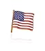 Presidential Gifts American Flag Pin | Limited Edition Lapel pin | 24K Gold American Lapel Pin | Red White & Blue | USA Flag pin