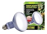 Exo Terra Sun-Glo Basking Spot Lamp, 150-Watt/120-Volt