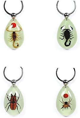 guangtongPersonalized key buckle insect amber key buttonMetal key holder - scorpion