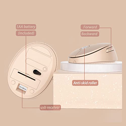 Wireless Keyboard and Mouse Combo, Ergonomic Full Size Typewriter Retro Round Keycaps Keyboard, Compatible with Windows, PC, Perfer for Home and Office Keyboards (Chocolate)