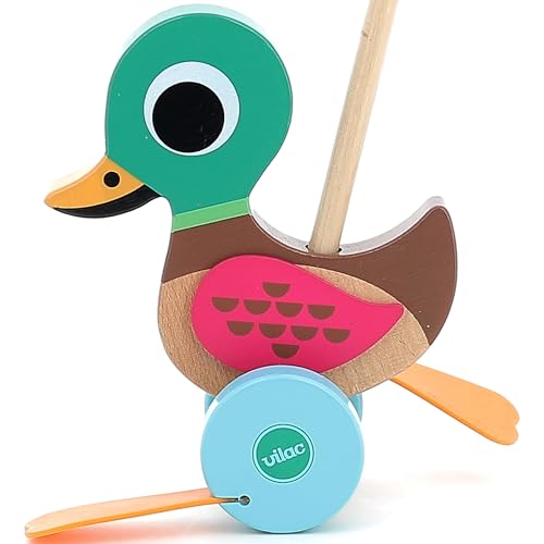 Push & Pull Along Duck