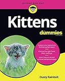 Kittens For Dummies by Rainbolt