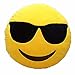 LI&HI 32cm Emoji Smiley Emoticon Yellow Round Cushion Pillow Stuffed Plush Soft Toy (Cool)