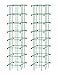 Gardener's Supply Company Square Heavy Gauge Extra Tall Tomato Cage, Set of 2 Green primary