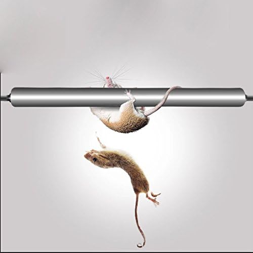 Kill or Live Catch Bucket Mouse Traps , Auto Reset Humane Rat Trap for Mice &amp; Pests &amp; Rodents (drum)