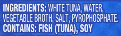 2 StarKist+Solid+White+Albacore+Water