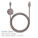 Native Union NIGHT Cable - 10ft Ultra-Strong Reinforced [Apple MFi Certified] iPhone / iPad Lightning to USB Charging Cable with Weighted Knot (Taupe)