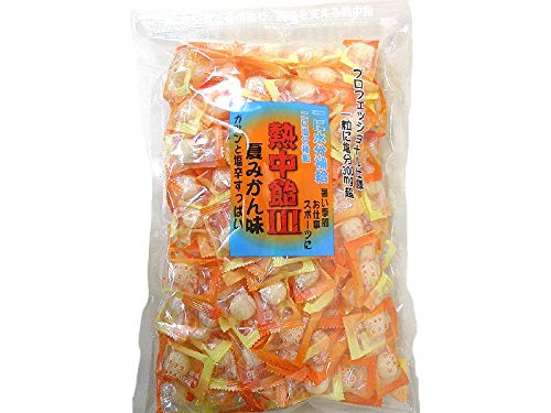 井関食品 熱中飴III 夏みかん味 1kgが激安特価！ price=1355 avg90=0