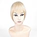 Ty.Hermenlisa Synthetic Clip in Hair Bang Extensions Heat Resistant Short Straight Fringe Hairpiece Accessory, 1Pc, 20g, Taylor-Blonde Gold Mix(F88.27)
