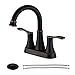 PARLOS 2-Handle Bathroom Sink Faucet High Arc Swivel Spout with Drain assembly and Faucet Supply Lines, Oil Rubbed Bronze, Demeter 13628 primary