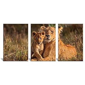 Canvas Wall Art Wild View Animals Beasts Painting Artwork for Home Prints Framed - 16"x24" x 3 Panels