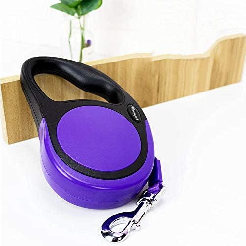 purple retractable leash