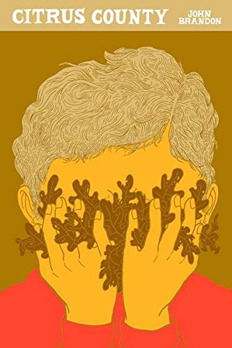 Citrus County (McSweeney's Rectangulars)