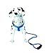 HUMGFENG Dog Harness-Training Dog Leash Included-No Pull,Heavy Duty, Rescue, Walking Harness for Large/Medium/Small Dogs S