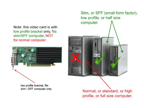 Dell GeForce 9300 GE 256 MB Graphic Card with DMS-59 Port