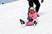 Zipfy Freestyle Mini Luge Snow Sled
