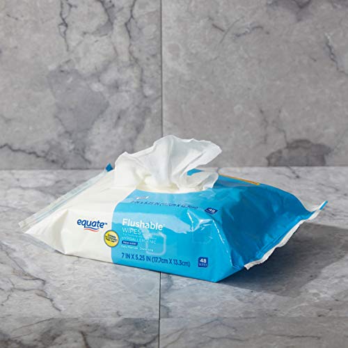Equate Flushable Wet Wipes / Toilet Paper / Baby Wipes with Aloe Vera and Vitamin E, Fresh Scent