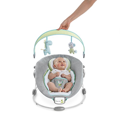 ingenuity soothe n delight bouncer