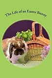 The Life of an Easter Bunny by Tracy Meadows