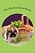 The Life of an Easter Bunny by Tracy Meadows