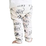 Leegor Toddler Kid Boy Dinosaurs Print Elasticity Long Pants Lovely Harem Trousers (3T)