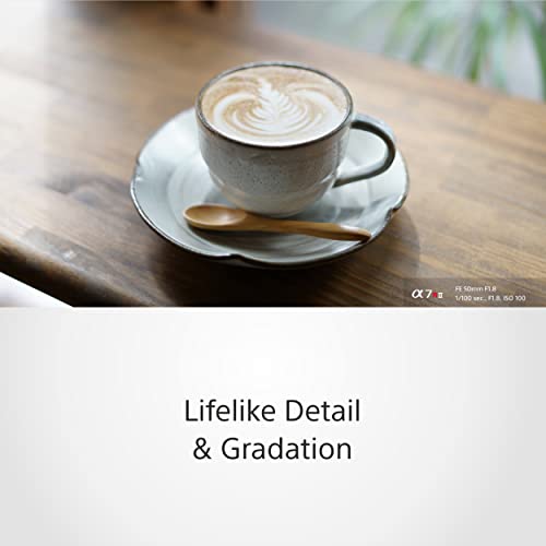 Sony SEL50F18F 50mm F1.8 Full Frame & APS-C Fixed Focal Length Lens, Luminous with Quiet Autofocus, E-Mount, Ideal for Portraits (Compatible with A7, ZV-E10, A6400, A6700 Series), Black