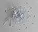 Coolwife Womens Fascinator Veil Flower Cocktail Tea Party Headwear (White)