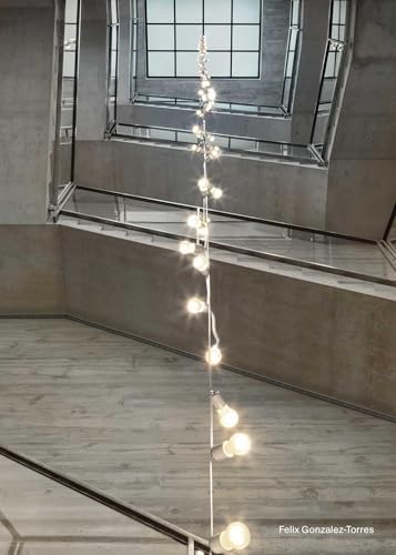 Felix Gonzalez-Torres: America: Spector, Nancy, Gonzalez-Torres