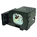 Comoze Lamps Compatible Panasonic TY-LA1000 Replacement Lamp w/Housing