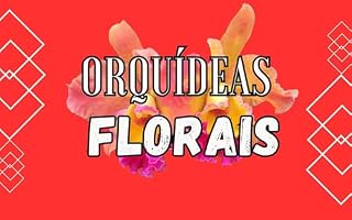 Livro ORQUÍDEAS FLORAIS: LINDAS ORQUÍDEAS