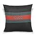 Throw Pillow Case Gucci Washable Removable Pillow Cover for Home & Hotel Collection Size 18 x 18 Inch