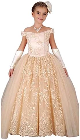 Kauste Girl's Embroidered Lace Flower Special Occasion Girl Dress FB10