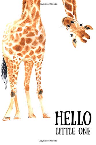 hello little one baby book